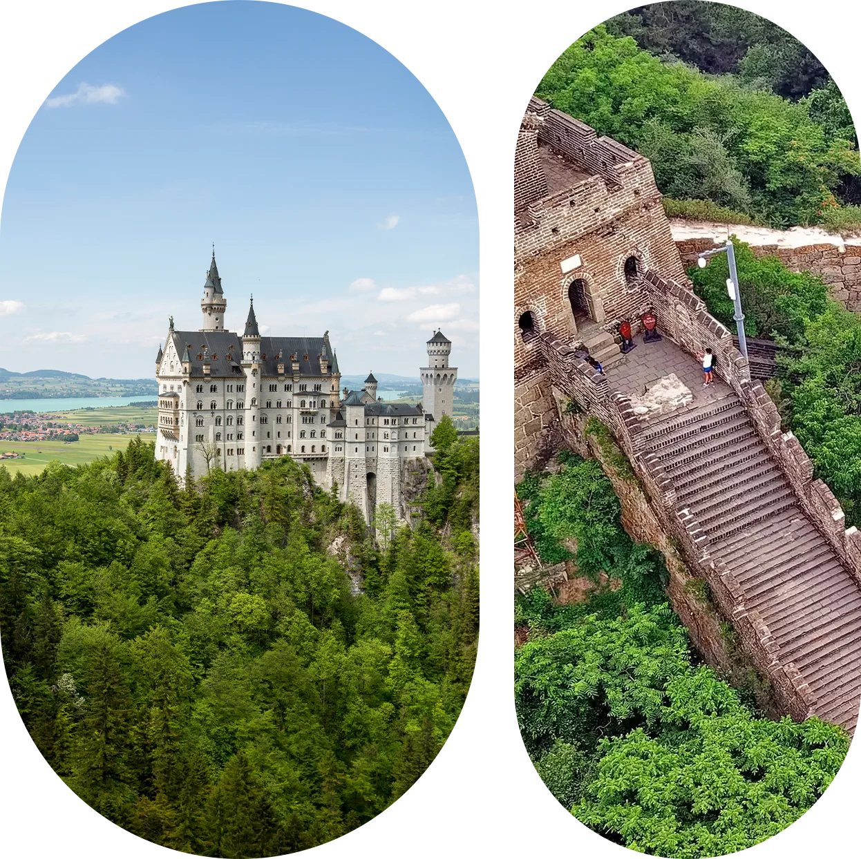 A castle and some trees with a forest in the background