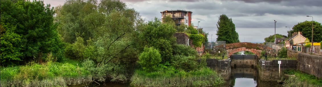 A view of trees and buildings from across the river.