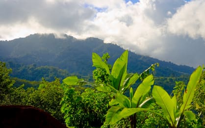 A view of the mountains from above with trees in the foreground.