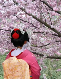 A woman in pink and red dress holding an umbrella.