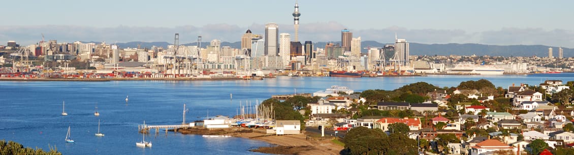 A view of the city skyline from across the bay.