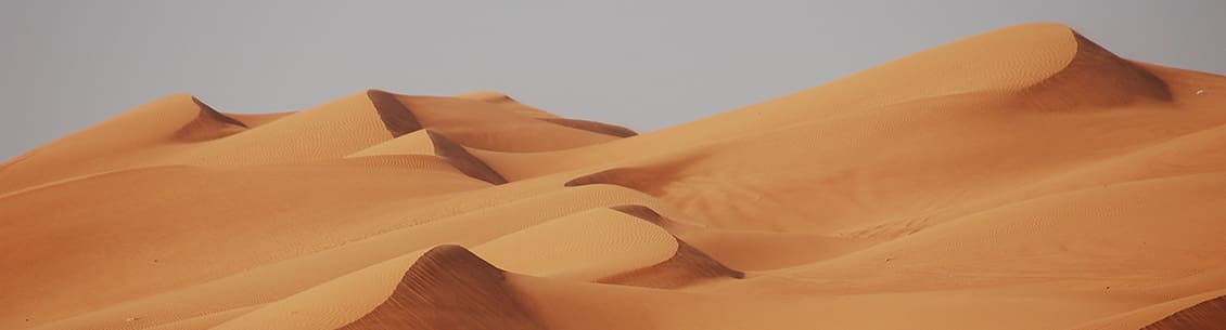 A desert with sand dunes and sky in the background.