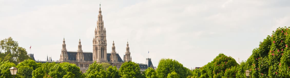 Vienna City Hall behind trees.