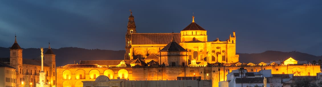 Crdoba Cathedral-Mosque at night.