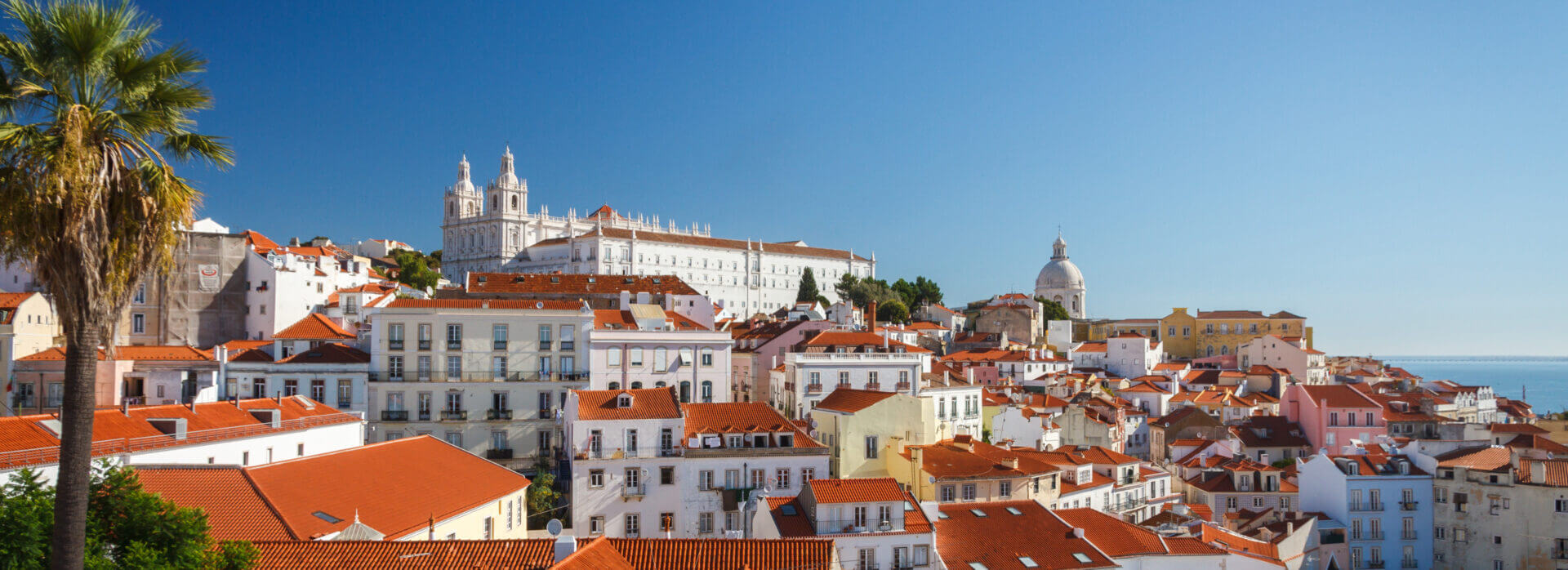 Lisbon cityscape with red rooftops and palm.